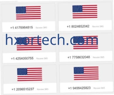 رقم امريكي 10 دقائق لاستخدامه عبر الانترنت 1 رقم امريكي 10 دقائق